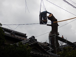 写真の説明を入れます
