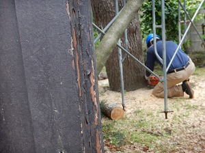 写真の説明を入れます