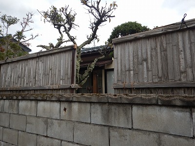 写真の説明を入れます