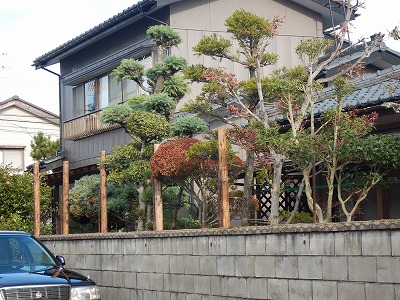 写真の説明を入れます