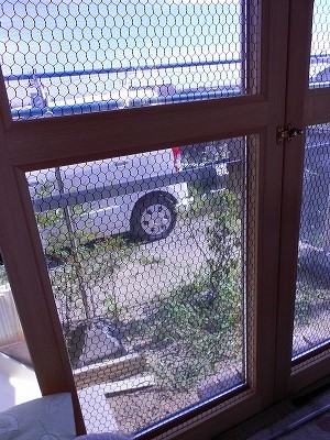写真の説明を入れます