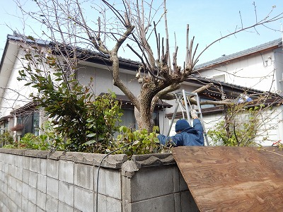 写真の説明を入れます