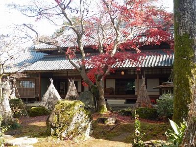 写真の説明を入れます