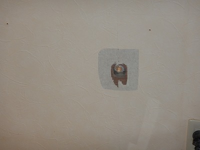 写真の説明を入れます
