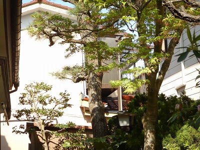 写真の説明を入れます