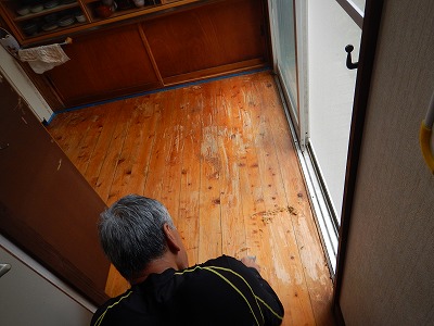 写真の説明を入れます